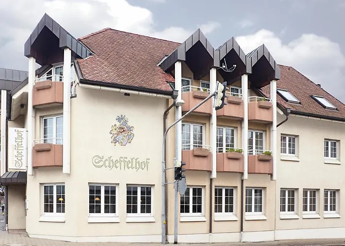 Nickmann Im Scheffelhof アパート バート・ゼッキンゲン